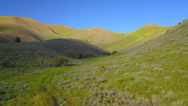 100 WATER GULCH RD, HAILEY, ID 83333 - Image 1